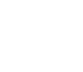 Schiffsguru Kreuzfahrtexperten