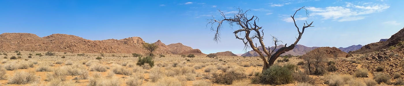 Afrika Kreuzfahrten