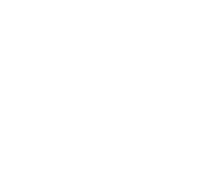 Logo Schiffsguru